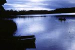 Tabourie Lake G Gulson