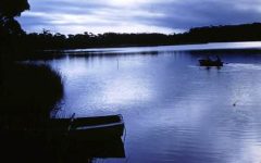 Tabourie Lake G Gulson