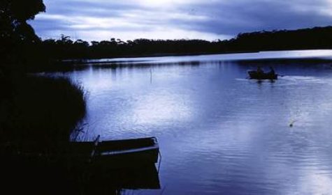 Tabourie Lake G Gulson