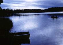 Tabourie Lake G Gulson