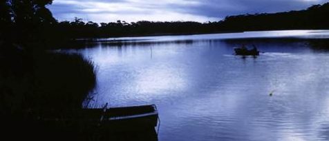 Tabourie Lake G Gulson