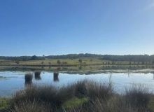 Burrill fishing
