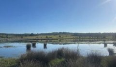 Burrill fishing