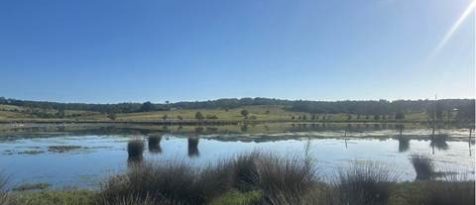 Burrill fishing
